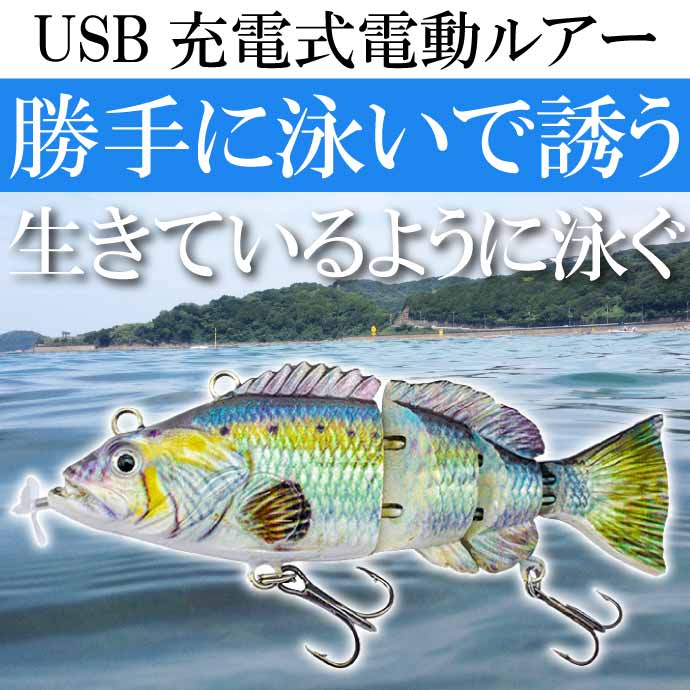 ư륢 USBż ưǱˤ륢