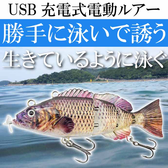 ư륢 USBż ưǱˤ륢
